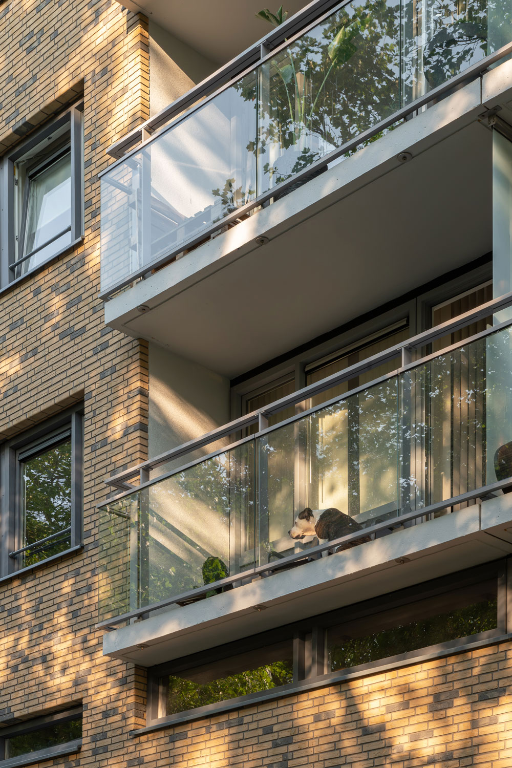 DOOR Architecten Purmerend Wheermolen Oost D-Grote Frank Exterior 2024