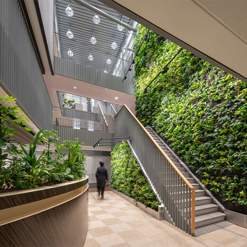 DOOR Architecten Mercado Gemeente Eindhoven IMPULS Interior