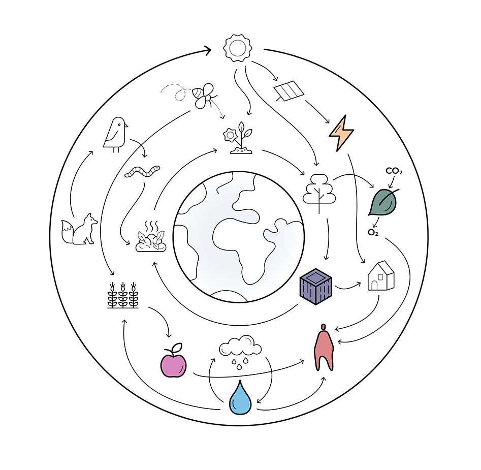DOOR architecten ecosystem analysis