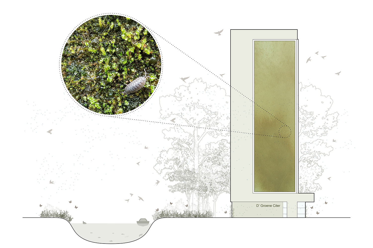 DOOR Architecten Purmerend Wheermolen Oost D Groene Citer Exterior