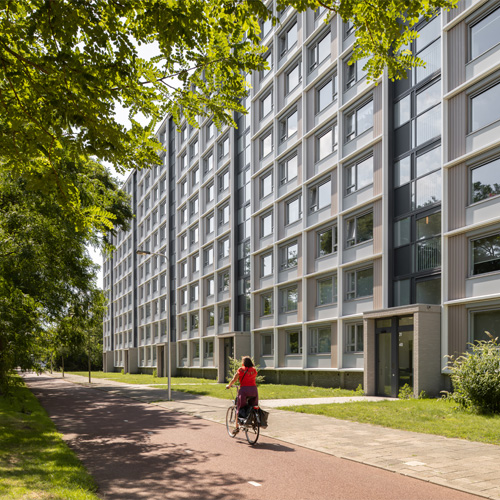 Alt tekst: Een fietser in een rood shirt rijdt over een met bomen omzoomd pad langs een gerenoveerd meergezinswooncomplex met een ritmische gevel van grijs en wit omlijste ramen en balkons, gefotografeerd op een zonnige zomerdag. Architectuur door DOOR-architecten.