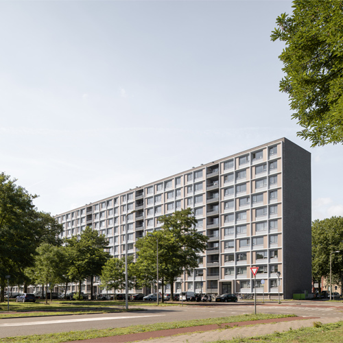 Gulden Feniks 2026 Jur